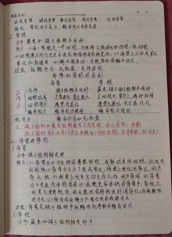 微信图片_20200627155234