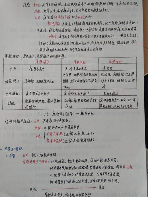 微信图片_20200627173229