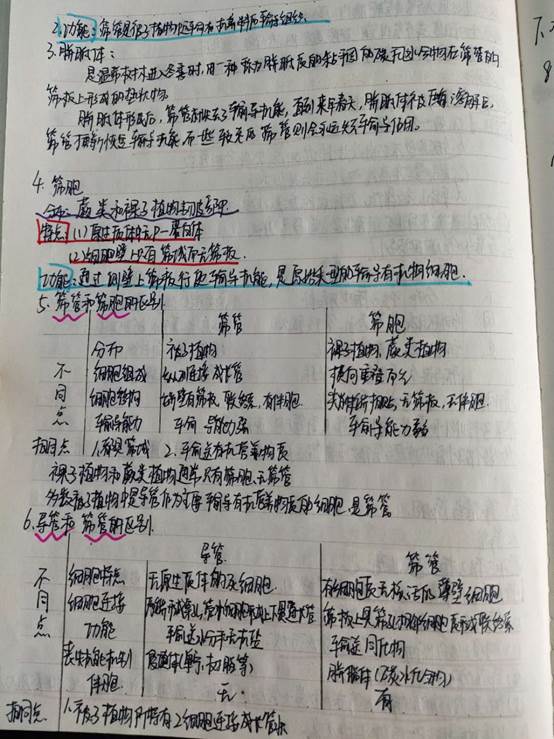 微信图片_20200626161041