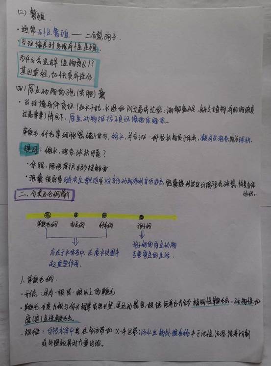 f9f70d384e720712cb304b1308f2dd8