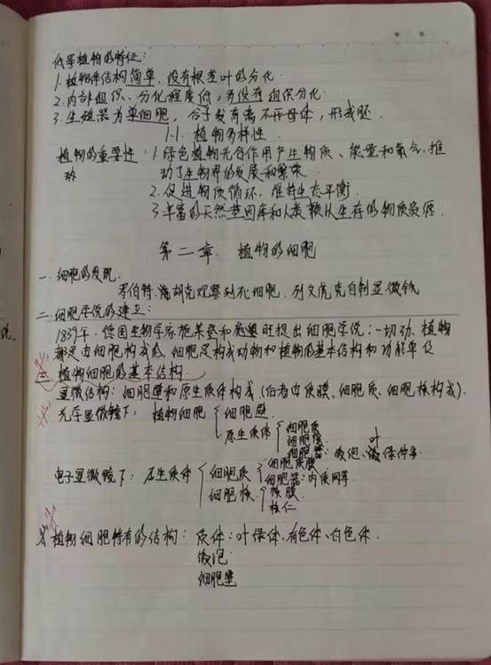 微信图片_20200627155245