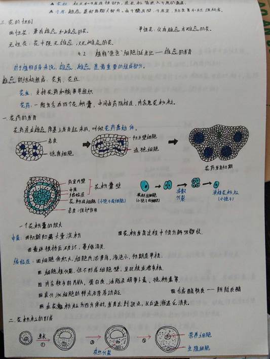 微信图片_20200627173218