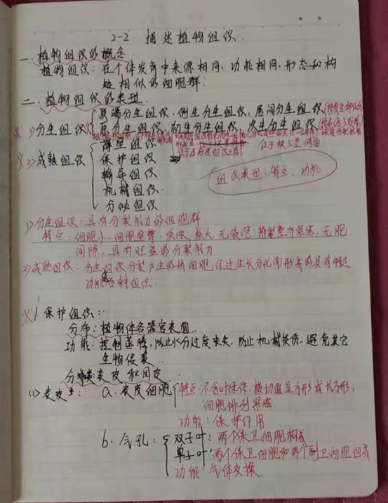 微信图片_20200627155239