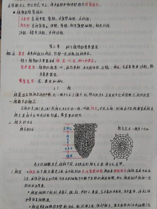 微信图片_20200627173221