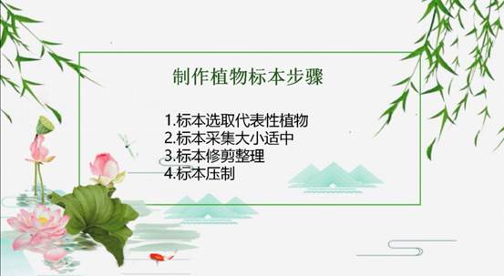 微信图片_20200630221113