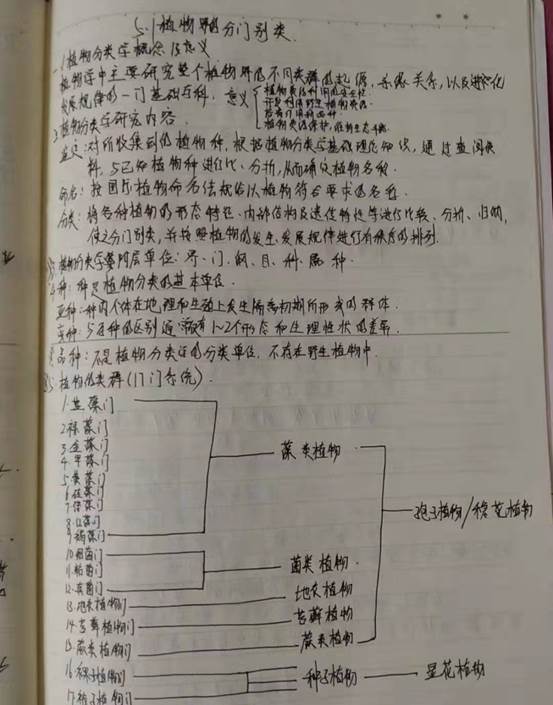 微信图片_20200627155220