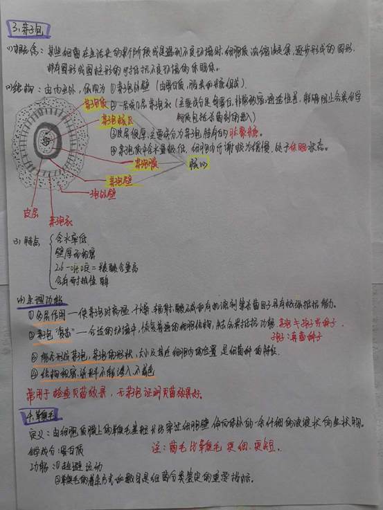 dd639baf21c0d95297c706cd11efc7a