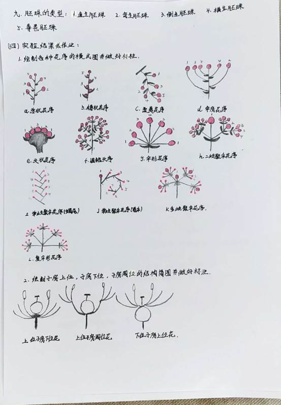 21dc988c818f75749d5685fc40aaffb