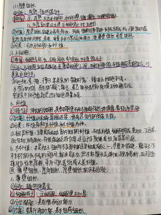 微信图片_20200626161022